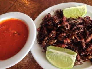 August 24th: Oaxaca Snack, Chapulines (Spicy Grasshoppers)